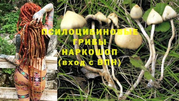прущие крисы Балабаново