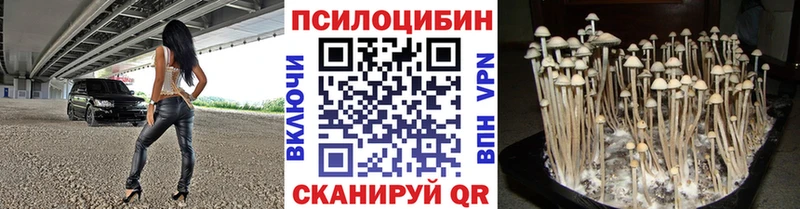 Псилоцибиновые грибы GOLDEN TEACHER  Буинск 